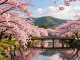 Entdecken Sie die Beste Reisezeit Japan Kirschblüte